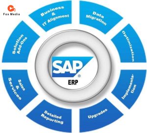 Phần mềm ERP được phát triển trong nước và nước ngoài